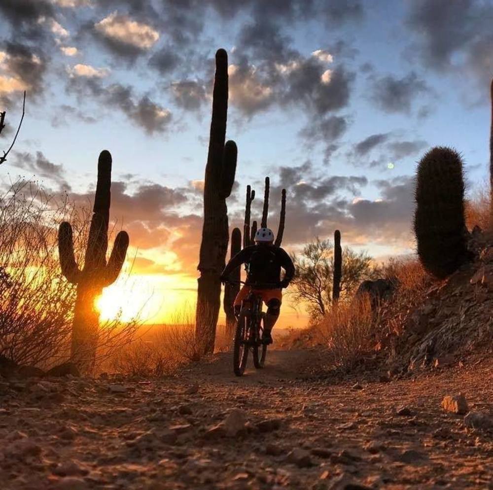 Meet your Posher, Arturo